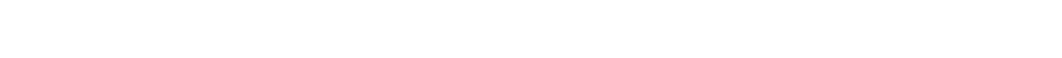 Media Partner