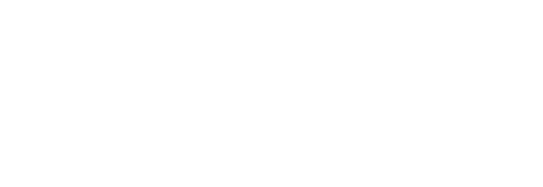 Collaborator 2